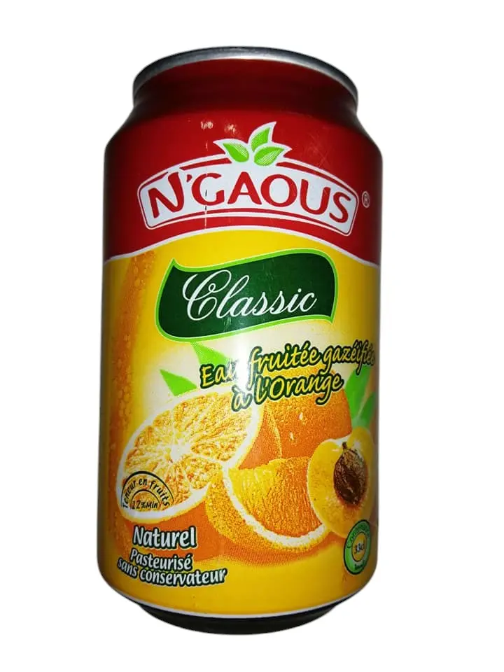 N'Gaous eau fruitée canette 33cl citron menthe
