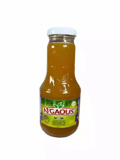 N'Gaous eau fruitée en verre 25cl orange