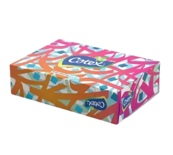 Boite mouchoir Compact motif aléatoire – 70pcs