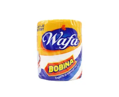 Essuie tout bobina (01 rl)